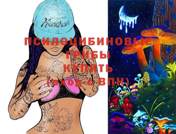 стафф Магас
