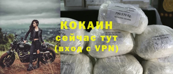 гидра Михайловск