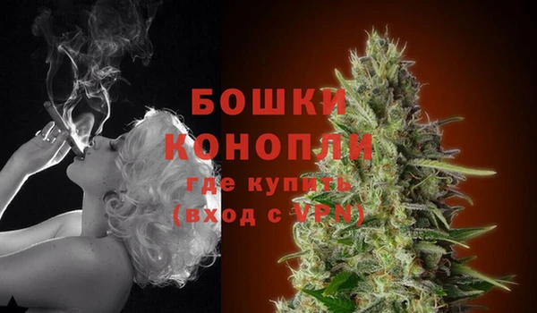 герыч Мегион