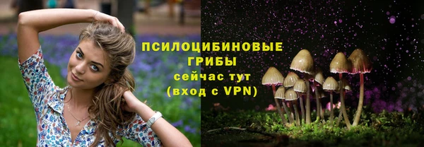 Альфа ПВП Медвежьегорск