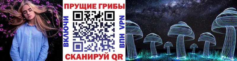 Псилоцибиновые грибы MAGIC MUSHROOMS  где купить   блэк спрут ссылки  Кумертау 