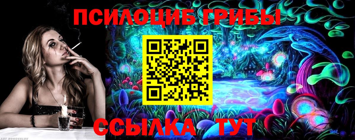 Кумертау  цена наркотик  Вход с VPN  Псилоцибиновые грибы мицелий 