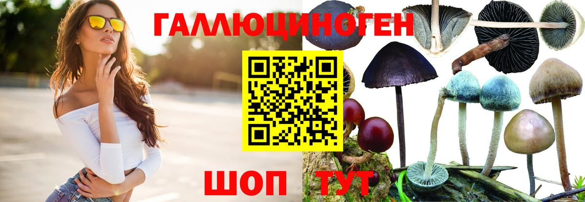 Псилоцибиновые грибы мицелий Кумертау